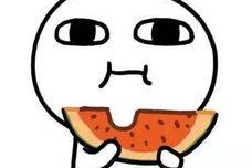 娱乐吃瓜君小团团,娱乐吃瓜界的“瓜王”传奇